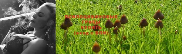 мяу мяу мука Пересвет