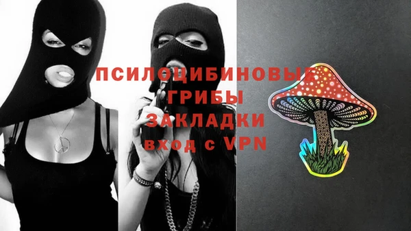 ALPHA PVP Переславль-Залесский