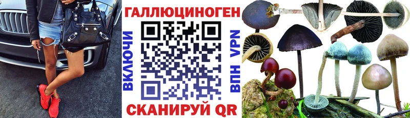 Псилоцибиновые грибы Psilocybine cubensis  Купить где  Рудня 